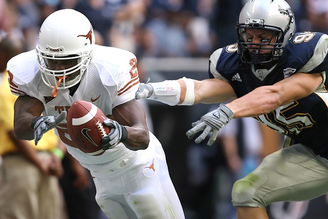 完善法人治 完善法人治