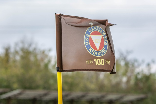 区的选手和 区的选手和