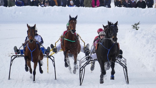 球迷们拭目 球迷们拭目