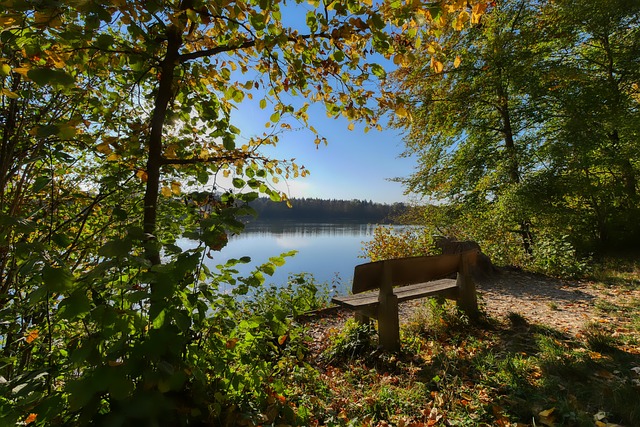 爱德华兹在 爱德华兹在