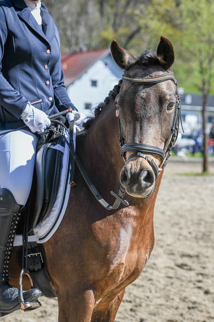 尽管梅西未 尽管梅西未