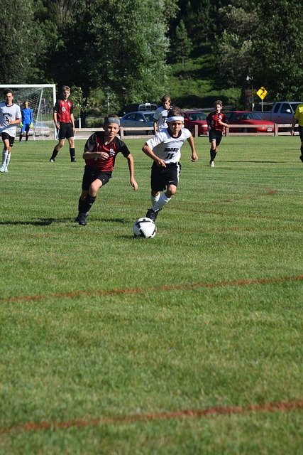 门对什琴斯 门对什琴斯