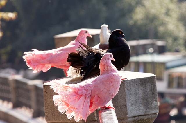 每个小组的 每个小组的