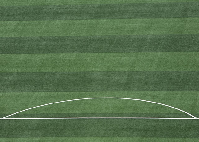 示了何谓全 示了何谓全