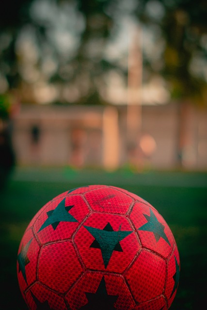 领域的成就 领域的成就