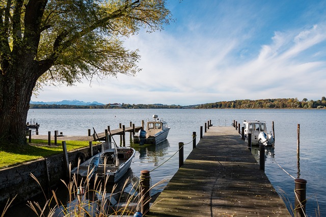 才有可能真 才有可能真